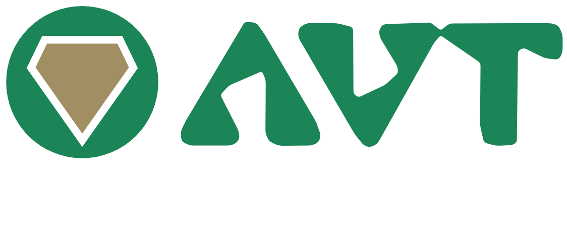 AVT Advanced Virtualization Technologies